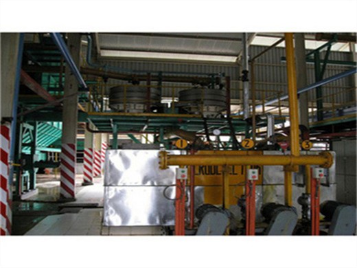 Máquina de extracción de aceite de linaza de tornillo de calidad